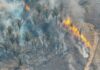 Fenômeno natural El Niño aumenta risco de queimadas durante a estiagem em Porto Velho