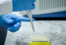 Governo de RO amplia estratégias na busca por pessoas desaparecidas com participação em Seminário Nacional