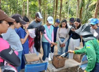 Visita técnica aproxima acadêmicos da prática da apicultura e meliponicultura em propriedades rurais
