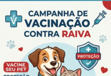 Prefeitura de Cacoal inicia vacinação contra raiva para cães e gatos a partir de 13 de junho