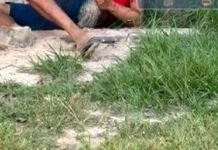 Homem é morto a facadas em sítio na zona rural de Chupinguaia