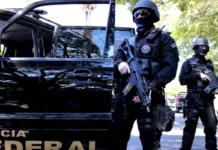 PF combate tráfico internacional de drogas por rotas marítimas