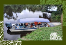 Junho Ambiental: MPF aciona Justiça para garantir saúde e saneamento na Terra Indígena Uru-Eu-Wau-Wau em Rondônia