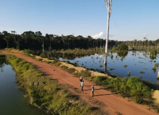 Seminário de Regularidade Ambiental promove capacitação para produtores e técnicos em Ariquemes