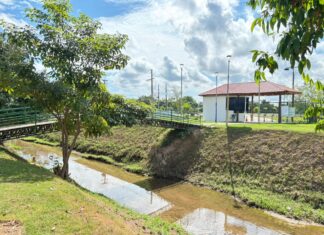Após limpeza da Prefeitura, peixes voltam a aparecer no Igarapé do Botinha