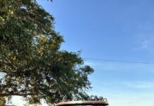PF deflagra operação contra grupo investigado por tráfico interestadual de drogas