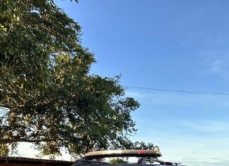 PF deflagra operação contra grupo investigado por tráfico interestadual de drogas