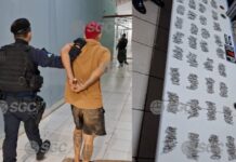 Quase 500 porções de maconha são apreendidas em operação no Orgulho do Madeira
