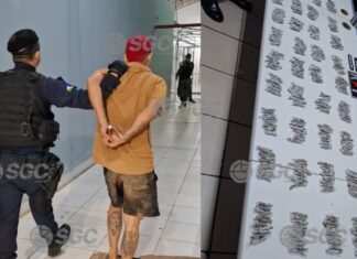 Quase 500 porções de maconha são apreendidas em operação no Orgulho do Madeira