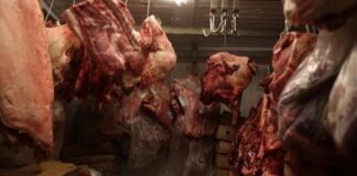 China recebeu 79% da cota de carne brasileira, mas embarques superam 100%