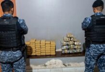 Apreensão de drogas em Rondônia: Polícia Militar intercepta 52 kg de entorpecentes