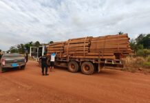 Operação Acesso Facilitado investiga exploração ilegal de madeira e minérios em Rondônia