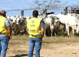 Governo retira R$ 11,8 milhões do Fundo de Defesa Sanitária Animal, não devolve recursos e preocupa setor produtivo