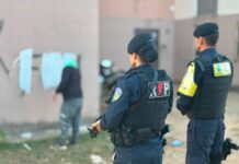 Atividade Delegada da Prefeitura integra Operação Caçador em Porto Velho