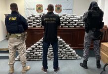 Forças de segurança apreendem cerca de 170 quilos de maconha em operação