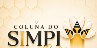 Reforma Tributária acende alerta para MEIs e empresas do Simples que vendem para outras empresas