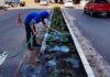 Prefeitura adota novas soluções de paisagismo para reduzir demanda de roçagem