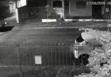 Mulher é esfaqueada pelo namorado, pede socorro e morre durante atendimento em Londrina