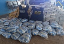 No Vale do Guaporé, forças de segurança localizam e apreendem 250 Kg de Skunk