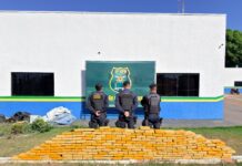 Mais de 410 kg de drogas são apreendidos durante operação em Rolim de Moura