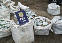 MPF recorre para Justiça aumentar pena de homem que trasportava 38 kg de mercúrio