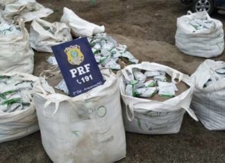 MPF recorre para Justiça aumentar pena de homem que trasportava 38 kg de mercúrio