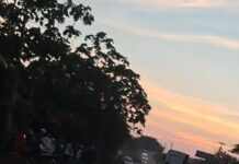 Vídeo flagra motorista avançando com carreta contra testemunhas após matar ciclista na BR-319