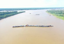 Justiça Federal barra licenças para garimpos de ouro com uso irregular de mercúrio em Rondônia