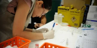 Estudo sobre hepatites virais traça panorama da doença em onze anos