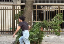 Meteorologia emite alerta de ventos de até 100 km/h no Rio