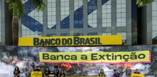Ação do MPF contra Banco do Brasil reforça denúncia do Greenpeace sobre concessão de crédito rural em Terra Indígena