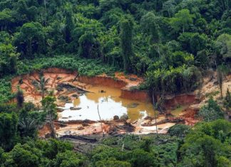 Justiça aceita denúncia do MPF contra líder de garimpo ilegal de diamantes na Terra Indígena Roosevelt, em Rondônia