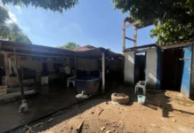 Atividade Delegada da prefeitura resgata 13 idosos de instituição irregular na zona Leste de Porto Velho