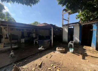 Atividade Delegada da prefeitura resgata 13 idosos de instituição irregular na zona Leste de Porto Velho