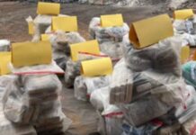 Mais de 600 quilos de drogas foram incineradas pela Polícia Civil
