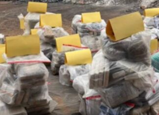 Mais de 600 quilos de drogas foram incineradas pela Polícia Civil