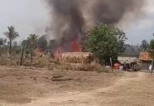 Incêndio destrói roças e deixa comunidade indígena em situação de emergência em Ji-Paraná