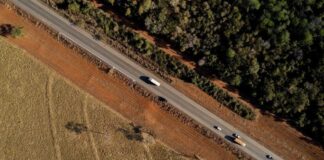 Fim da Moratória da Soja pode custar US$ 8,2 bilhões ao Brasil, estima WWF