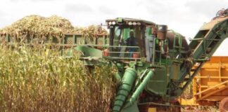 Marrocos fornecerá 3,8 milhões de toneladas de fertilizantes ao Brasil