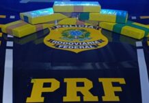 Agentes federais apreendem cocaína escondida em veículo na 364