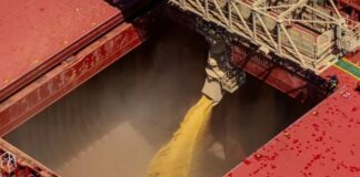 Processamento de soja, de 63,5 milhões de toneladas, será recorde em 2026