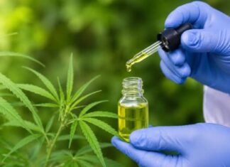 Justiça rejeita pedido do Governo e mantém lei que garante fornecimento gratuito de canabidiol em Rondônia