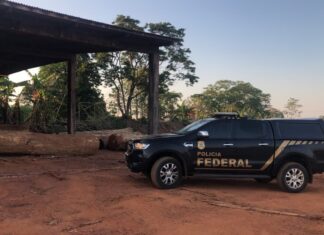 PF investiga uso de empresas e créditos florestais para “legalizar” madeira retirada ilegalmente