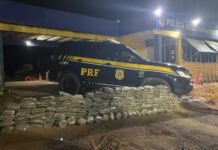 PRF apreende mais de 200 kg de drogas e prende três pessoas na BR-364