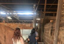 Jaru: Polícia Civil realiza incineração de drogas e destruição de objetos apreendidos