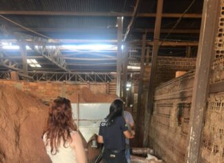 Jaru: Polícia Civil realiza incineração de drogas e destruição de objetos apreendidos