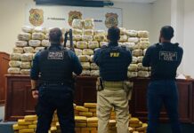 PRF apreende mais de 330 kg de maconha em ação conjunta com forças de segurança em Rondônia