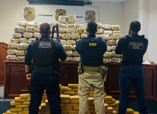 PRF apreende mais de 330 kg de maconha em ação conjunta com forças de segurança em Rondônia