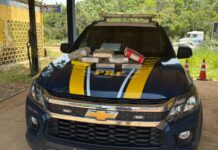 PRF apreende 8 kg de drogas transportadas em “táxi” no município de Porto Velho/RO