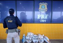 PRF apreende mais de 350 kg de minério transportados de forma ilegal em Ariquemes/RO